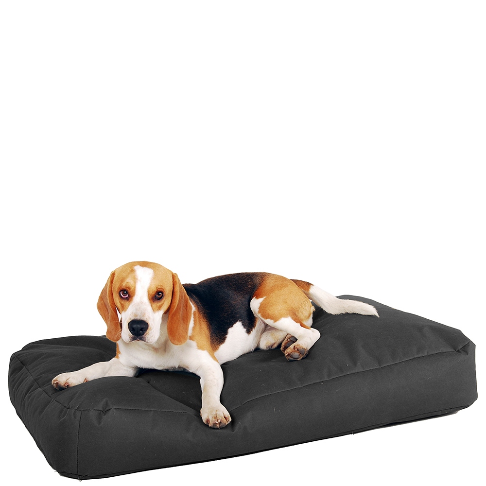 Dog Pouf "Pop Art"